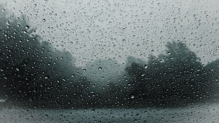 What is a wet dream and what does it mean