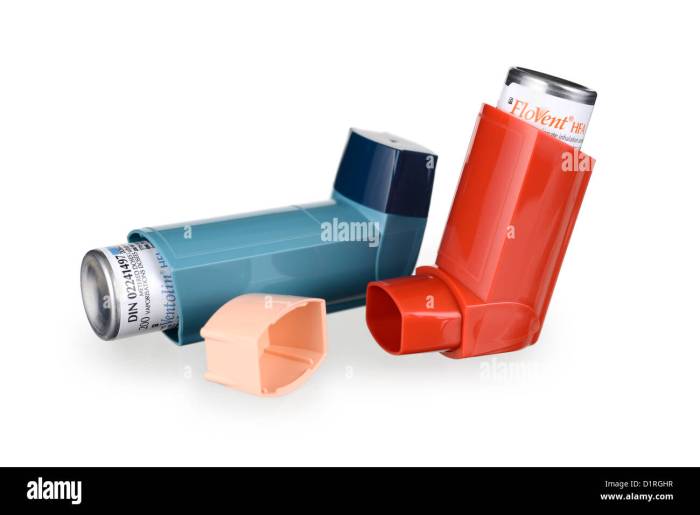 Flovent qvar pulmicort alvesco or asmanex