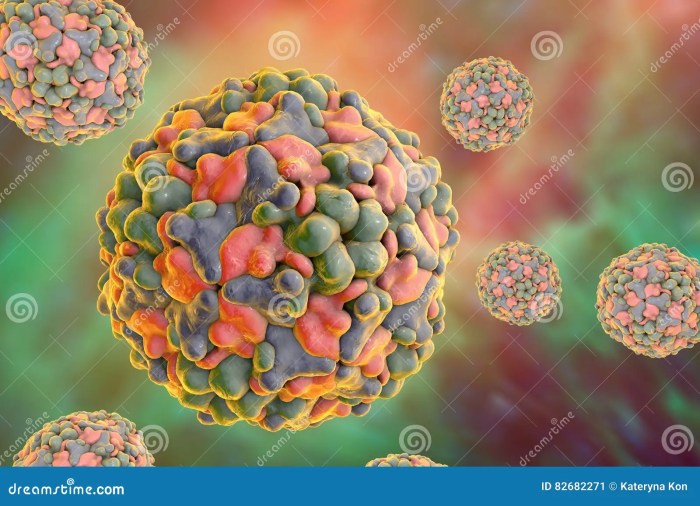 What are coxsackievirus infections