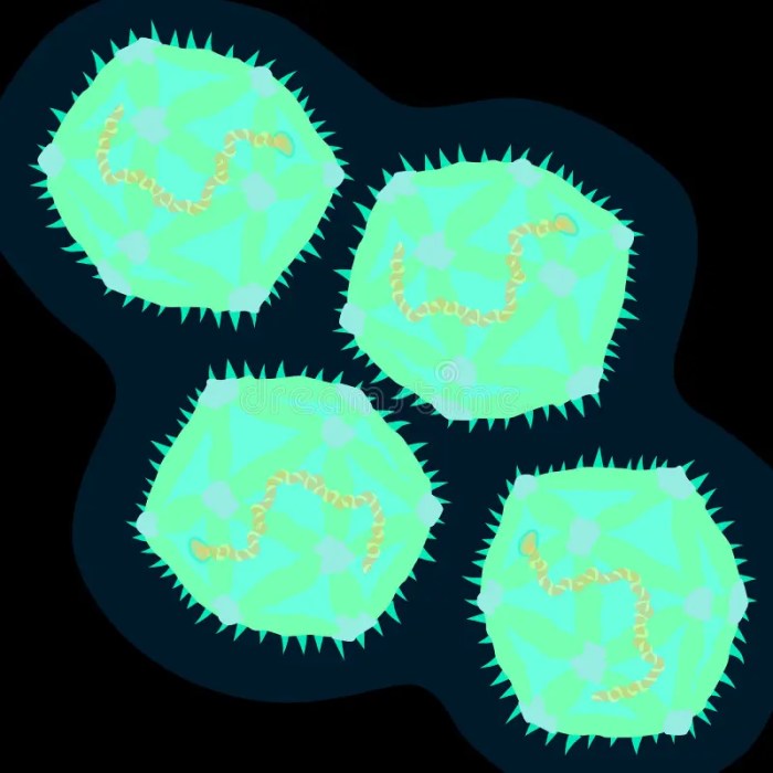 What are coxsackievirus infections