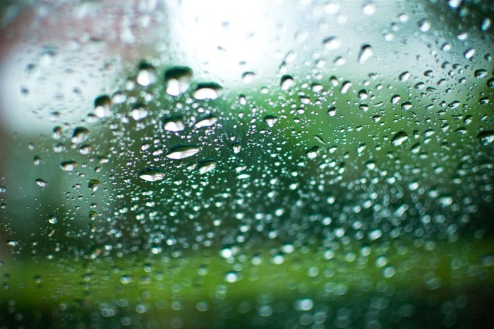 Wet, wet, wet – Taskers Trophy Inter-Club What is a wet dream and what does it mean
