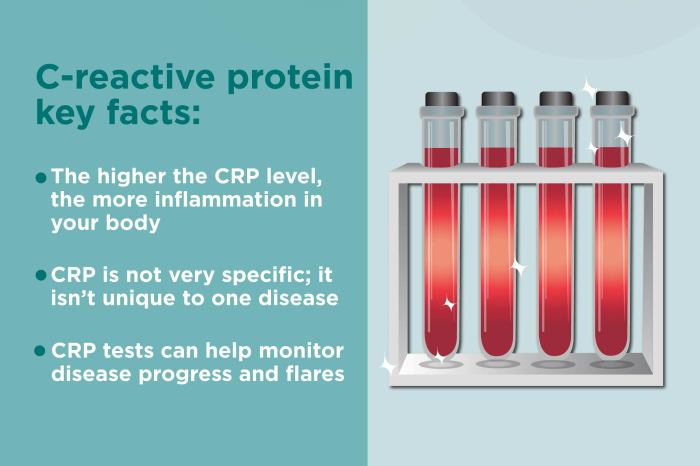 What is the c reactive protein crp test
