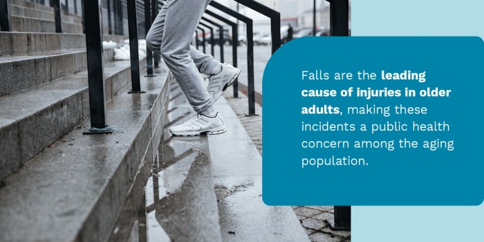 Preventing Falls in Older Adults (USPSTF)