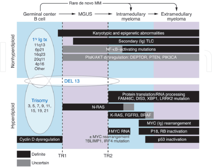 MGUS Undetermined Significance, Unveiled