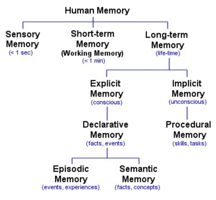 Memory and Brain Mechanisms | HubPages Memory tip 1 keyword mnemonics