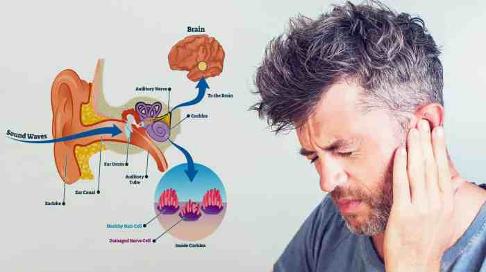 15 Causes of Ringing in the Ears (And How to Fix It) Ringing in ears symptoms causes and treatment