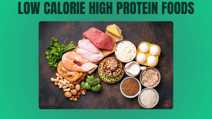 High Protein Low Fat Foods Your Guide