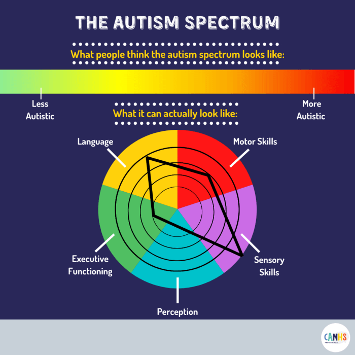 What is the broad autism phenotype