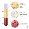 What Happens to Your Blood Pressure as You Age