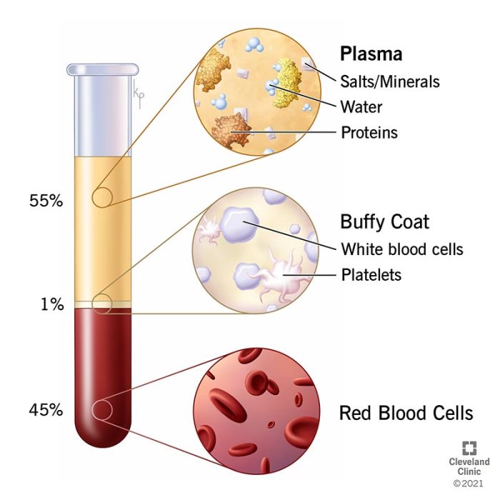 What Happens to Your Blood Pressure as You Age