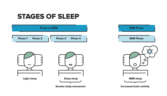 Sleep Health 101 Infographic - Sleep Health Facts | cpapRX How does sleep inertia make it hard to wake up