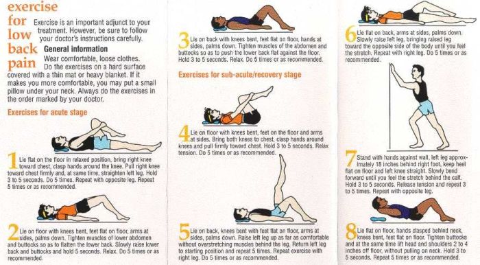 Physical therapy and exercises for low back pain