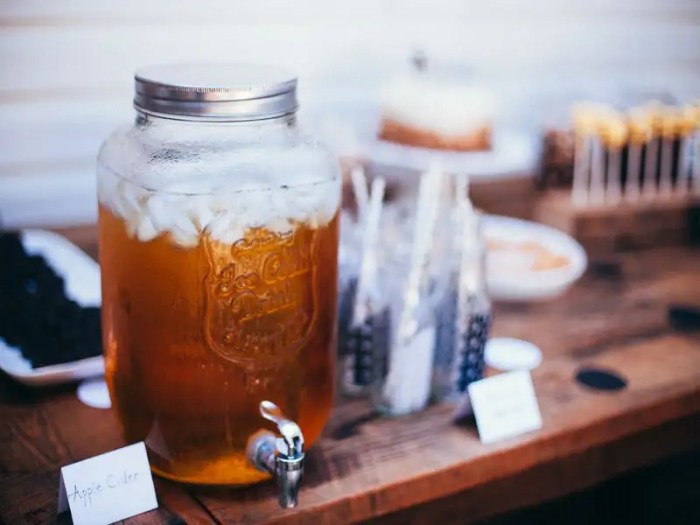 What medications does apple cider vinegar interfere with