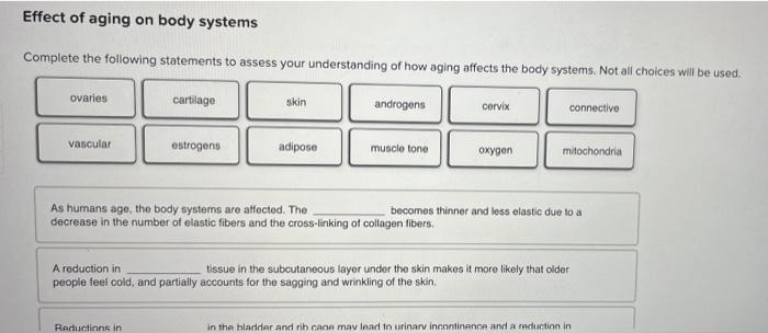 How Does Aging Affect Tissue? A Deep Dive