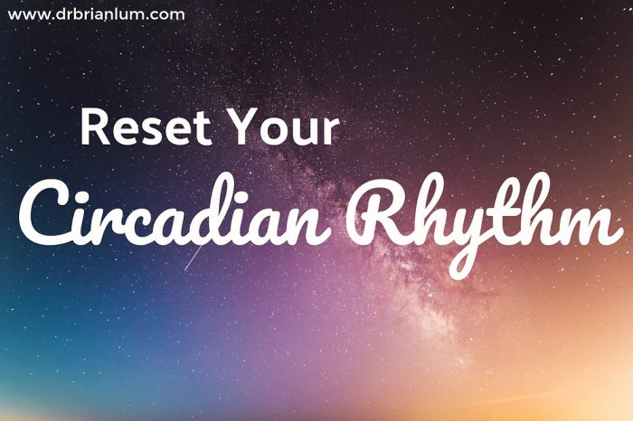 How to Reset Your Circadian Rhythm For Better Sleep: 7 Tips How to reset circadian rhythm