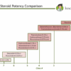 Steroids Topical Steroid Strengths A Deep Dive