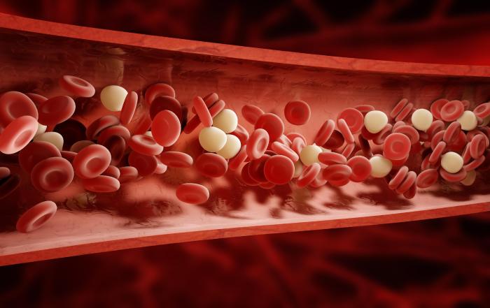 Blood Glucose Test Strips Levels and Process Explained
