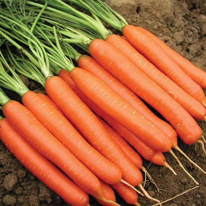 Carrot juice for tan