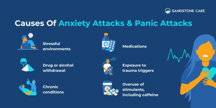 Panic vs Anxiety Attacks | Key Differences Explained Panic attack vs anxiety attack