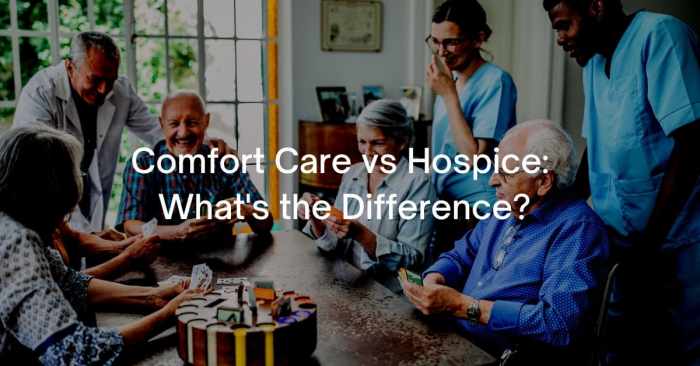 Comfort Care vs Hospice: What's the Difference? Comfort care vs hospice