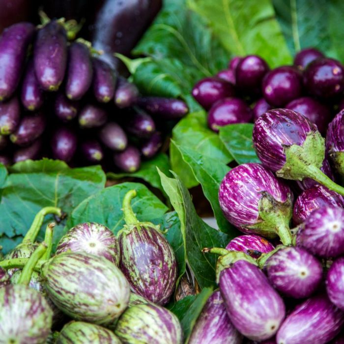 Eggplant Carbs and Glycemic Index A Deep Dive