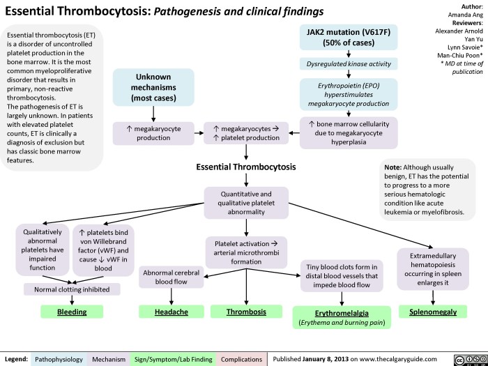 Treatments for essential thrombocythemia