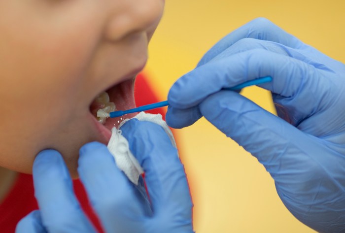 The three phases of swallowing