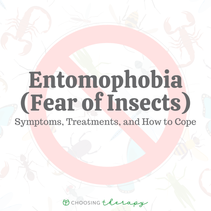 entomophobia an in-depth, ultra-realistic depiction of the overwhelming fear of insects ... Entomophobia definition symptoms causes treatments