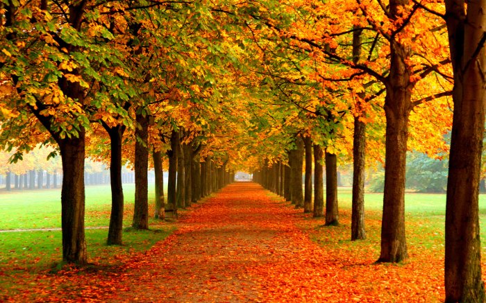 Fall Produce for Brain Health Boosting Cognition