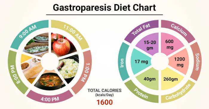How to follow a gastroparesis diet