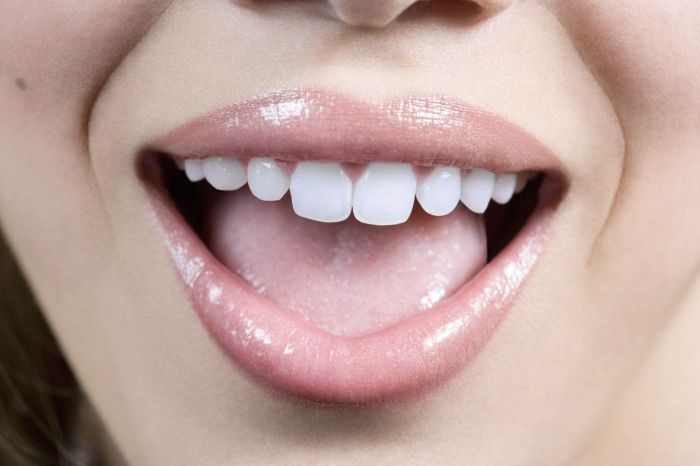 The three phases of swallowing