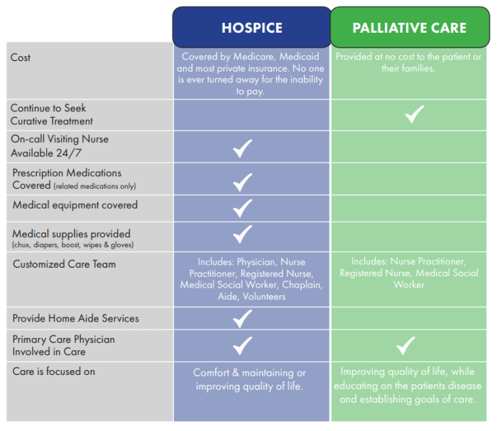 Hospice vs. Palliative Care: What's the Difference? | VITAS Comfort care vs hospice
