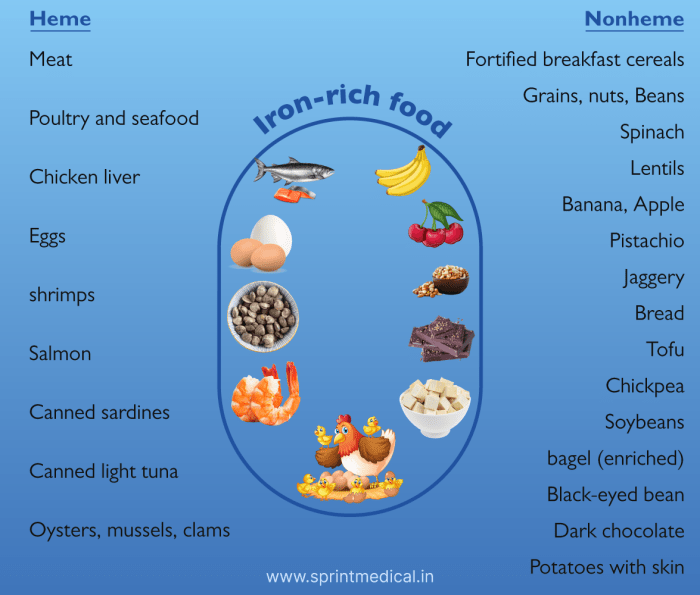How Polyphenol Rich Foods Play a Role in Hormone Health | Rejuvenate Foods and drinks to avoid for weight loss