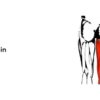 Causes of Lower Leg Pain A Comprehensive Guide