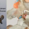 What are Herniated Disc Symptoms? A Guide