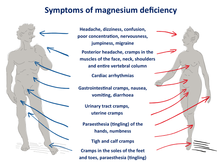 What Vitamin Deficiency Causes Muscle Cramps?