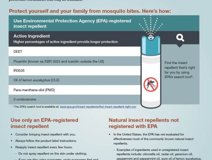 How to prevent mosquito bites