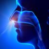 Nasal Congestion Symptoms, Causes, and Treatment