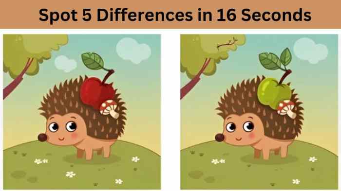 Spot The Difference: Can you spot all 10 differences in 25 seconds? The difference between overweight and obesity