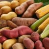 List of Starchy Vegetables A Deep Dive