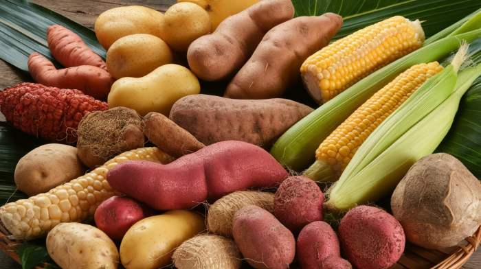 List of Starchy Vegetables A Deep Dive