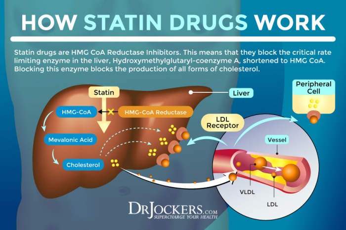 Side effects of statins