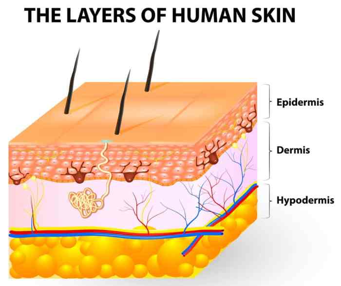 What are Skin Tag Patches? A Comprehensive Guide