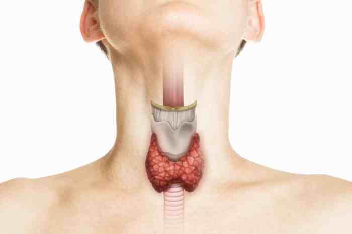 Home page | Thyroid Research Thyroid disease dry mouth