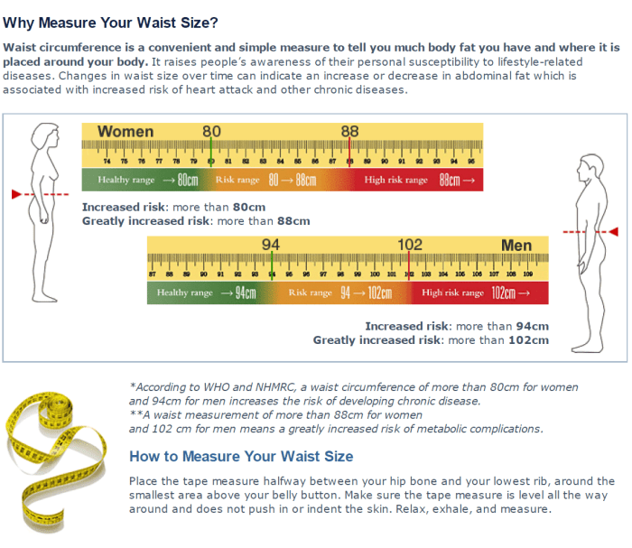 Ideal Waist Measurement Waist circumference and diabetes
