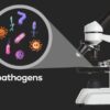 What is a Pathogen? A Deep Dive