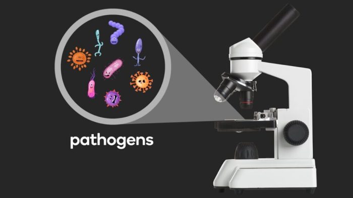 What-are-pathogens.docx What is a pathogen