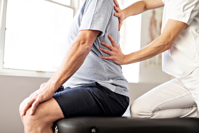 Physical Therapy for Low Back Pain Relief Physical therapy and exercises for low back pain