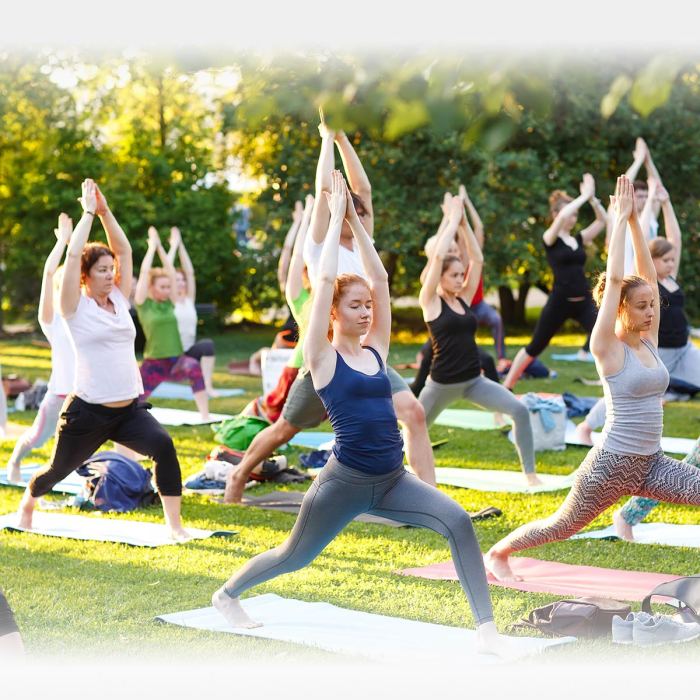 Yoga Stretches for Flexibility Your Guide