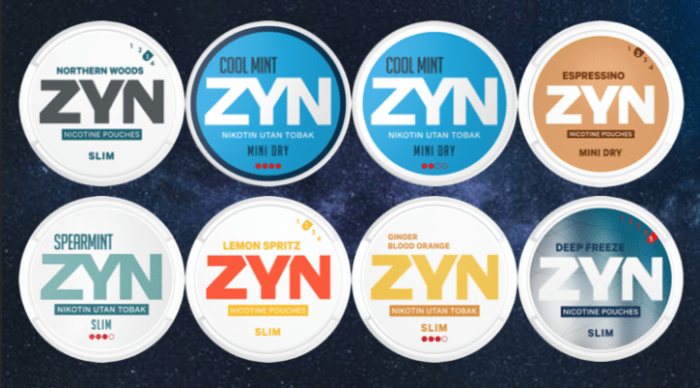 Are ZYN Pouches Safe to Use? (ZYN Safety Guide 2024) Is zyn bad for your heart